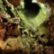 Die Ali Sadr-Höhle